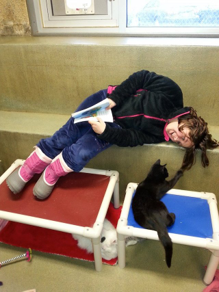 Illustration for article titled Kitties. Books. Kitties With Books, and Also Children.